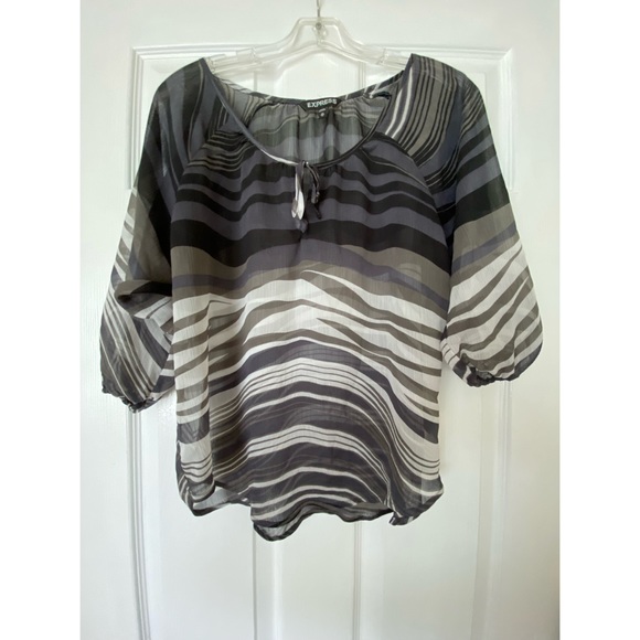 Express Sheer Top 🦓 - Picture 2 of 5